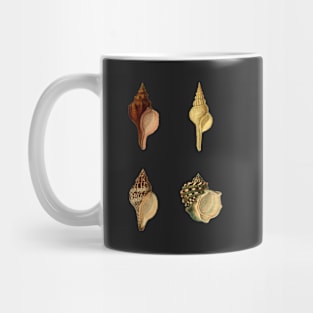 Vintage Seashells Mug